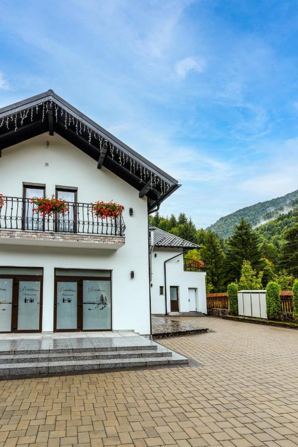 Pensiunea Paradisul Verde Мойсей Экстерьер фото